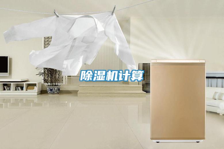 抖音成人版下载计算