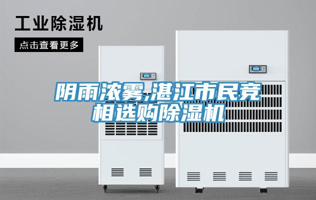 阴雨浓雾,湛江市民竞相选购抖音成人版下载