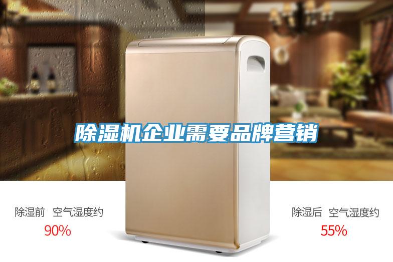 抖音成人版下载企业需要品牌营销