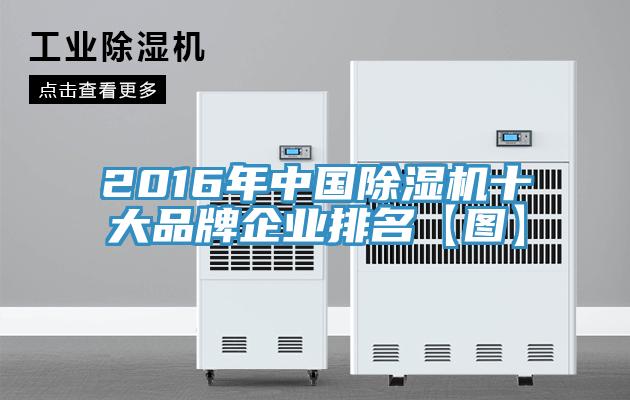 2016年中国抖音成人版下载十大品牌企业排名【图】