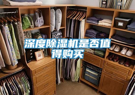 深度抖音成人版下载是否值得购买