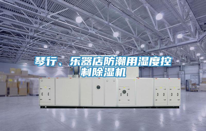 琴行、乐器店防潮用湿度控制抖音成人版下载