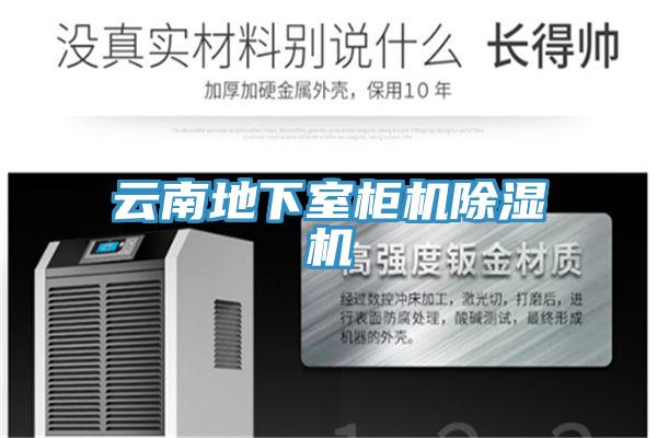 云南地下室柜机抖音成人版下载