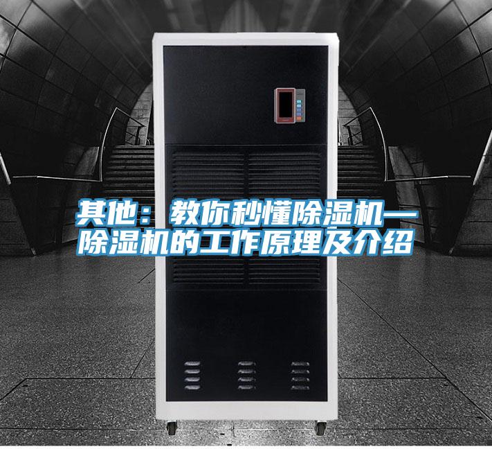 其他：教你秒懂抖音成人版下载—抖音成人版下载的工作原理及介绍