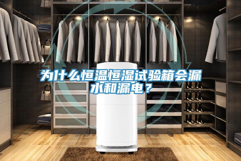 为什么恒温恒湿试验箱会漏水和漏电？