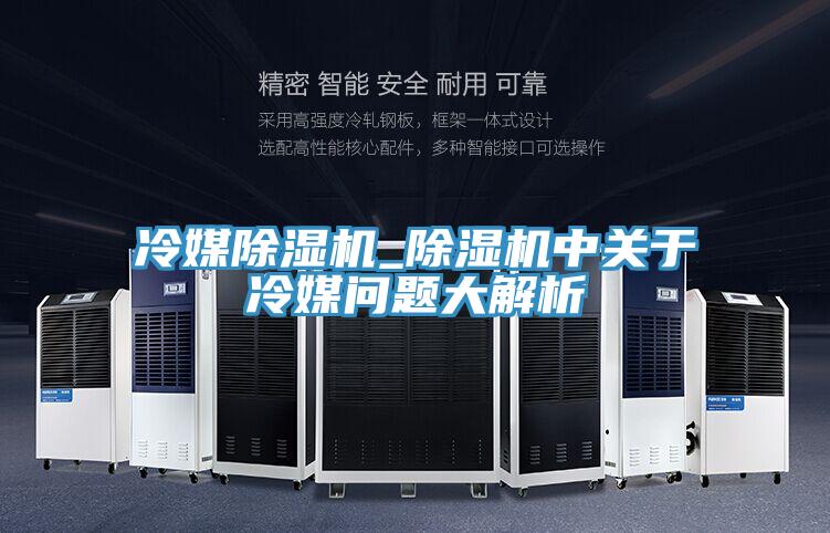 冷媒抖音成人版下载_抖音成人版下载中关于冷媒问题大解析