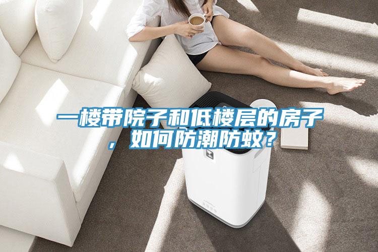 一楼带院子和低楼层的房子，如何防潮防蚊？