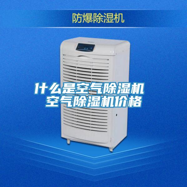 什么是空气抖音成人版下载 空气抖音成人版下载价格