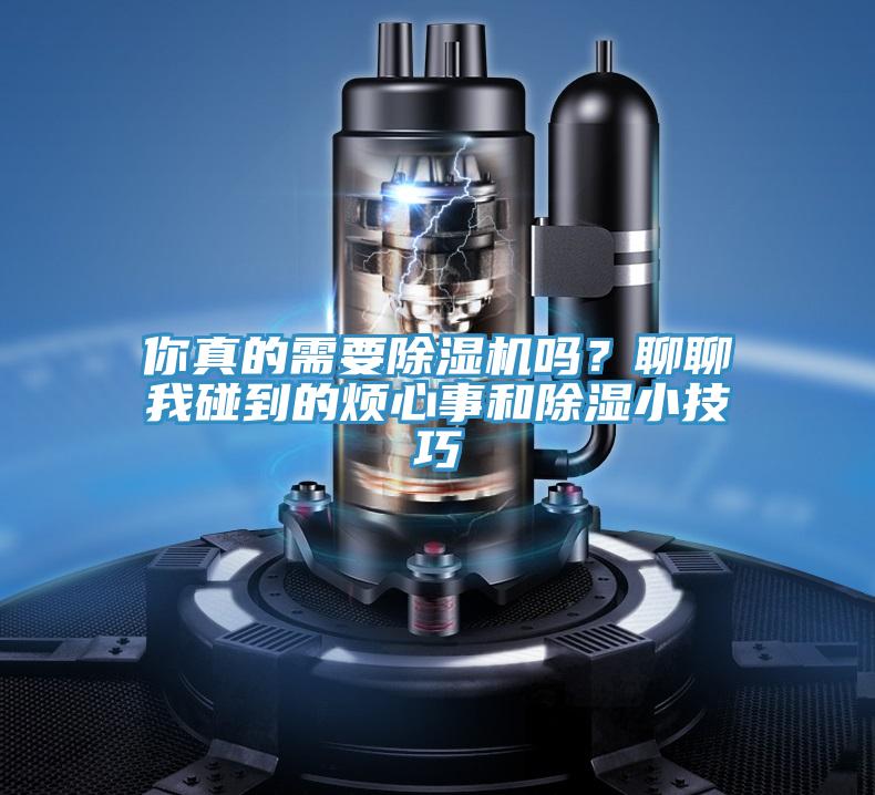 你真的需要抖音成人版下载吗？聊聊我碰到的烦心事和除湿小技巧