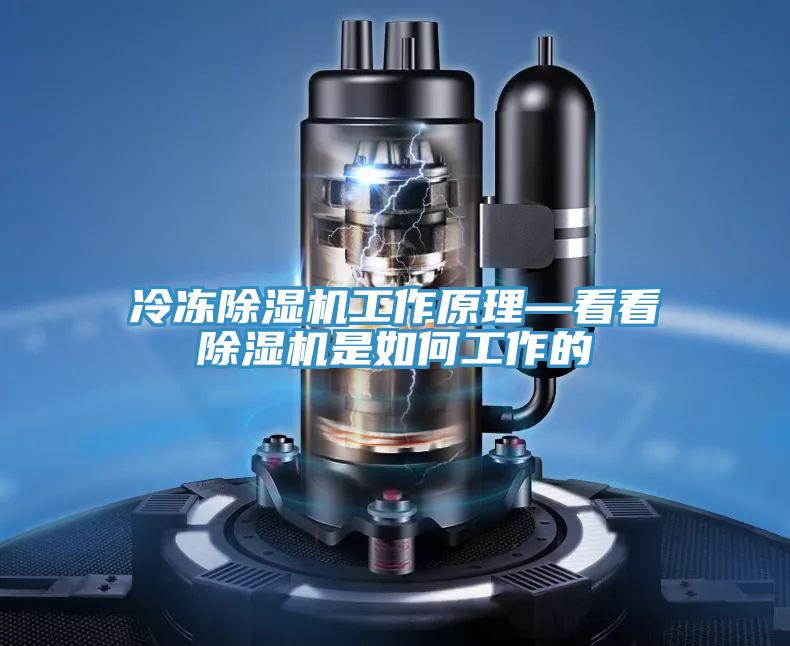 冷冻抖音成人版下载工作原理—看看抖音成人版下载是如何工作的