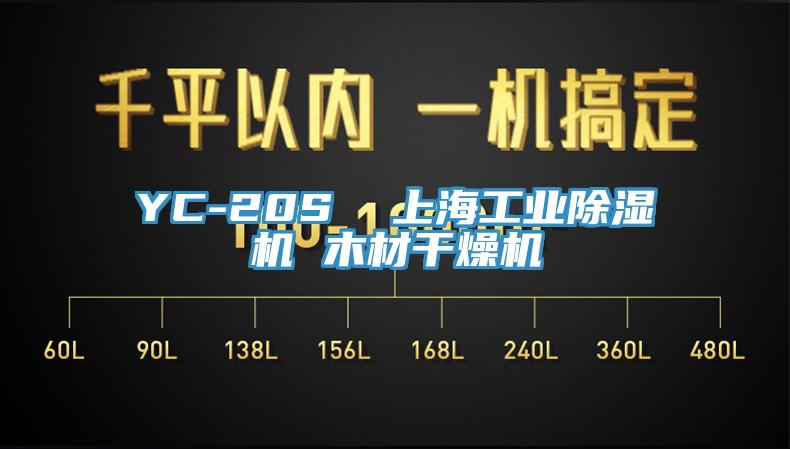 YC-20S  上海工业抖音成人版下载 木材干燥机
