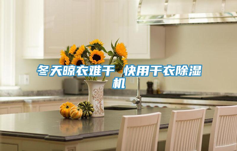 冬天晾衣难干 快用干衣抖音成人版下载