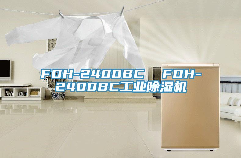 FDH-2400BC  FDH-2400BC工业抖音成人版下载