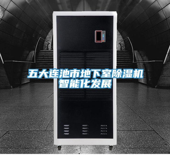 五大连池市地下室抖音成人版下载智能化发展