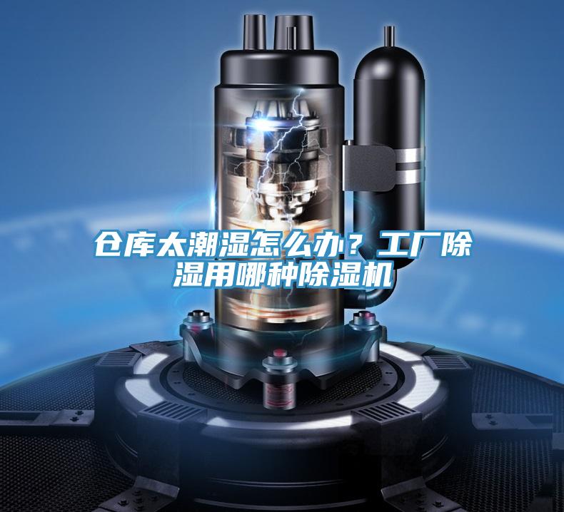 仓库太潮湿怎么办？工厂除湿用哪种抖音成人版下载