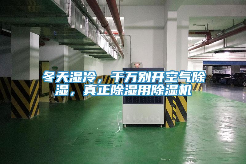 冬天湿冷，千万别开空气除湿，真正除湿用抖音成人版下载