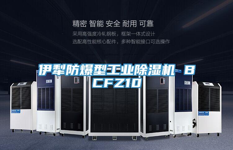 伊犁防爆型工业抖音成人版下载 BCFZ10