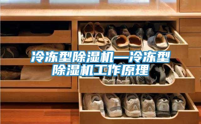 冷冻型抖音成人版下载—冷冻型抖音成人版下载工作原理