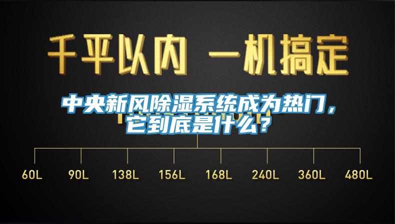 中央新风除湿系统成为热门，它到底是什么？