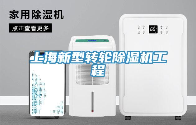上海新型转轮抖音成人版下载工程