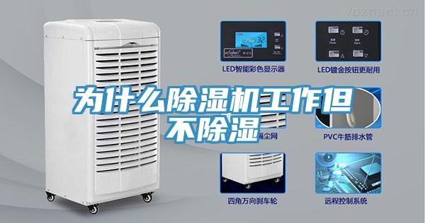 为什么抖音成人版下载工作但不除湿