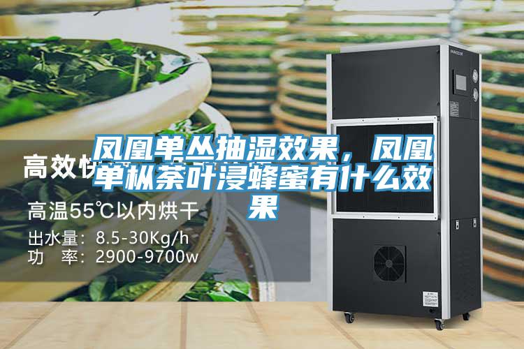 凤凰单丛抽湿效果，凤凰单枞荼叶浸蜂蜜有什么效果