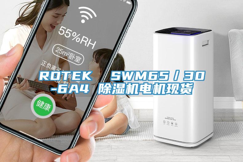 ROTEK  SWM65／30-6A4 抖音成人版下载电机现货