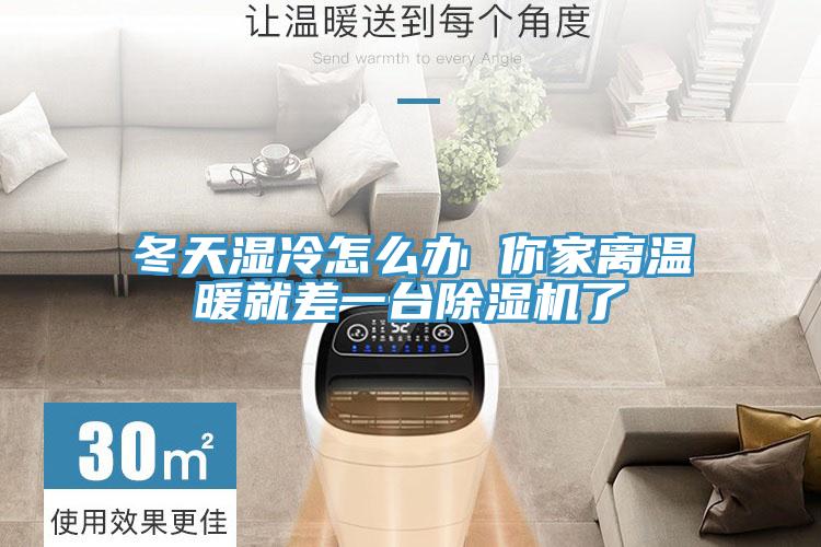 冬天湿冷怎么办 你家离温暖就差一台抖音成人版下载了