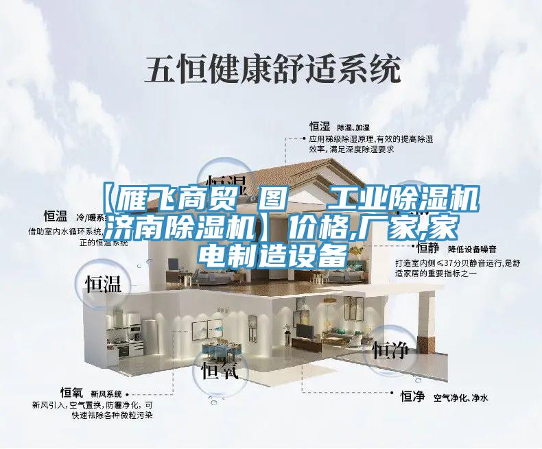 【雁飞商贸 图  工业抖音成人版下载 济南抖音成人版下载】价格,厂家,家电制造设备