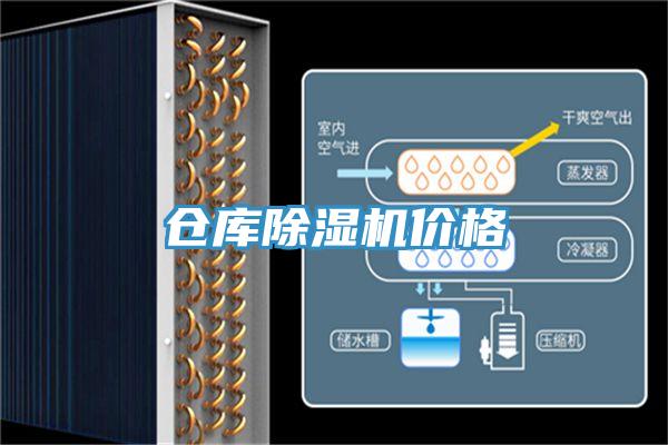 仓库抖音成人版下载价格