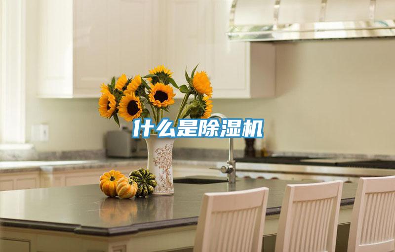 什么是抖音成人版下载