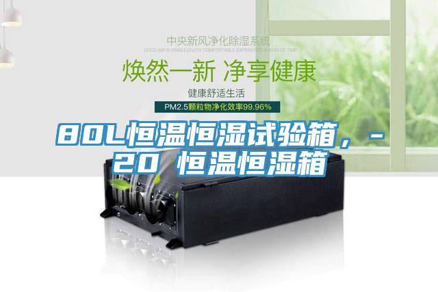 80L恒温恒湿试验箱，-20℃恒温恒湿箱