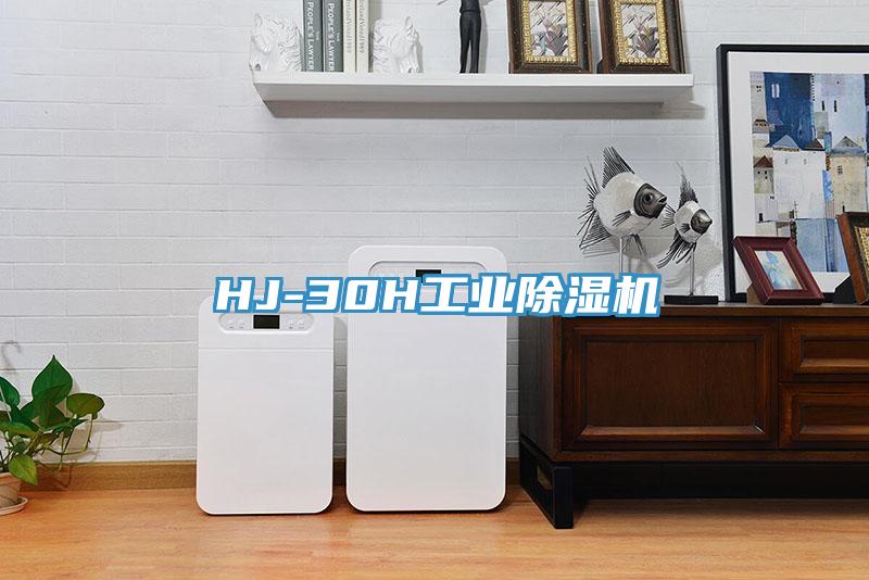 HJ-30H工业抖音成人版下载