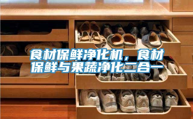 食材保鲜净化机，食材保鲜与果蔬净化二合一