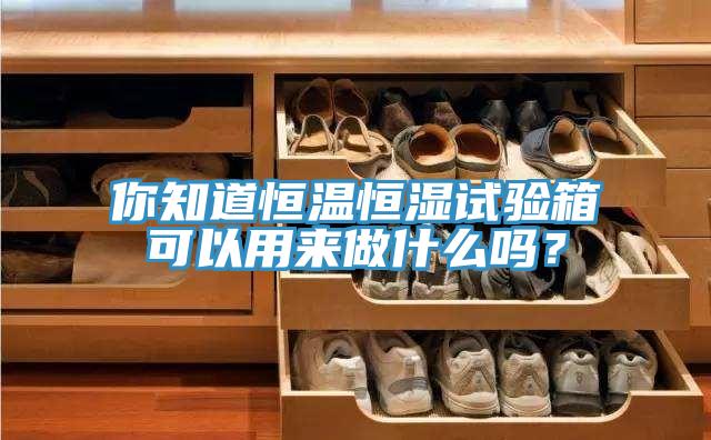 你知道恒温恒湿试验箱可以用来做什么吗？