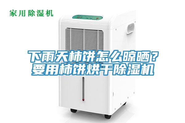 下雨天柿饼怎么晾晒？要用柿饼烘干抖音成人版下载