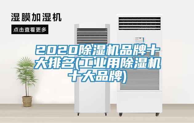 2020抖音成人版下载品牌十大排名(工业用抖音成人版下载十大品牌)