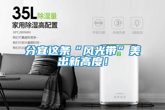 分宜这条“风光带”美出新高度！