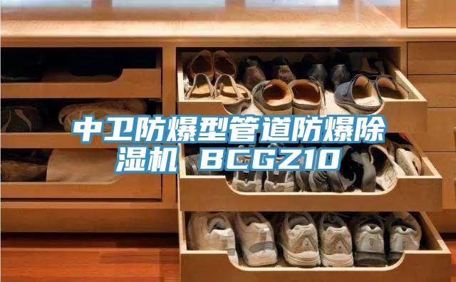 中卫防爆型管道防爆抖音成人版下载 BCGZ10