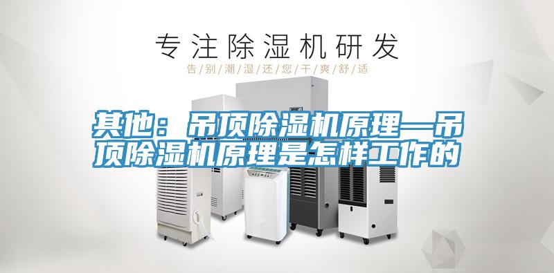 其他：吊顶抖音成人版下载原理—吊顶抖音成人版下载原理是怎样工作的