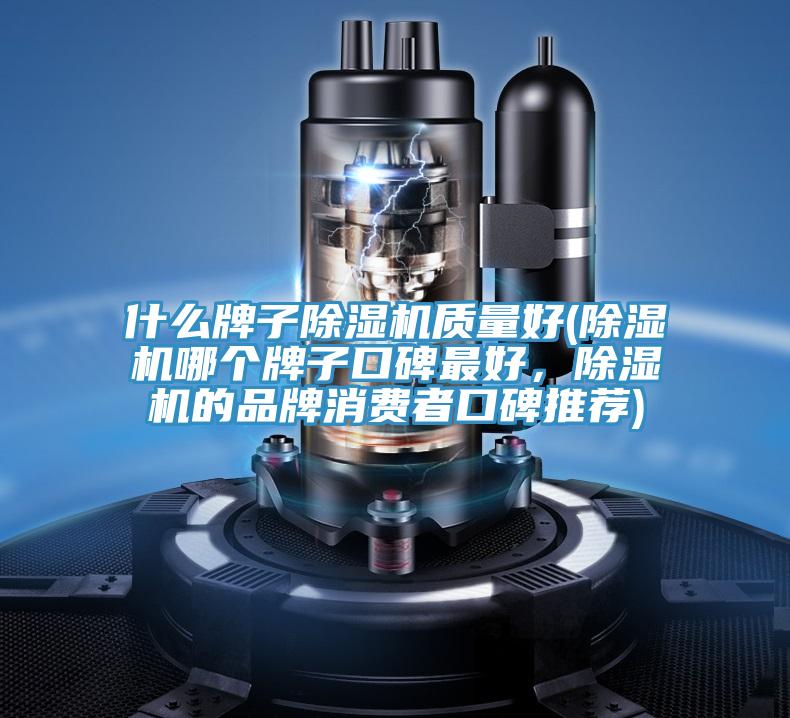 什么牌子抖音成人版下载质量好(抖音成人版下载哪个牌子口碑最好，抖音成人版下载的品牌消费者口碑推荐)