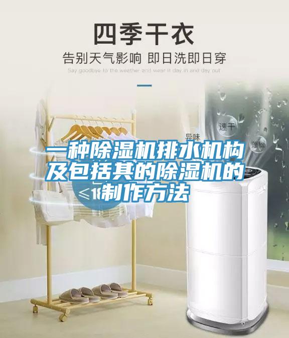 一种抖音成人版下载排水机构及包括其的抖音成人版下载的制作方法