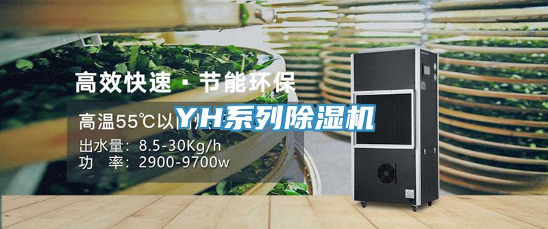 YH系列抖音成人版下载