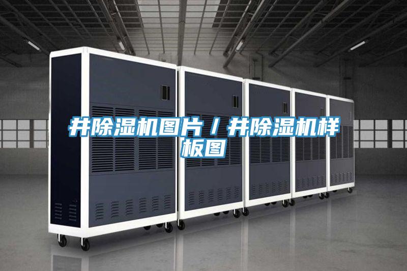 井抖音成人版下载图片／井抖音成人版下载样板图