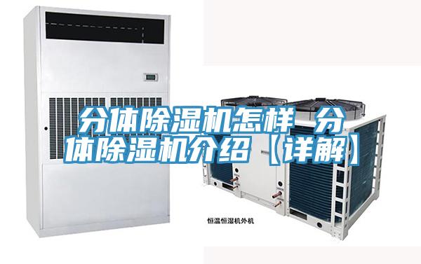 分体抖音成人版下载怎样 分体抖音成人版下载介绍【详解】