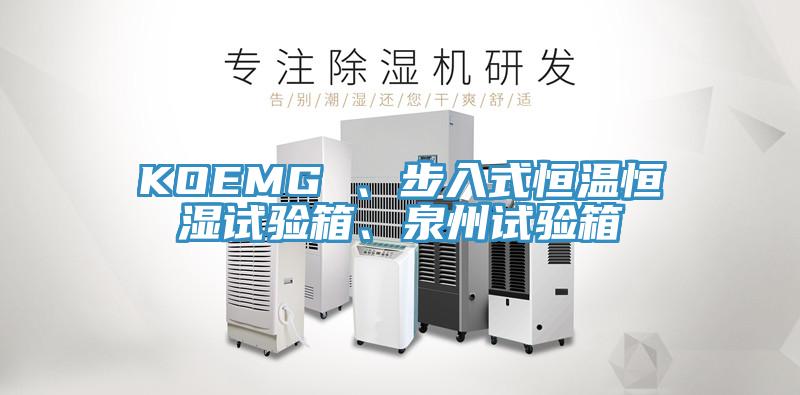 KOEMG 、步入式恒温恒湿试验箱、泉州试验箱