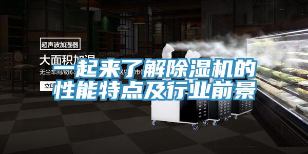 一起来了解抖音成人版下载的性能特点及行业前景