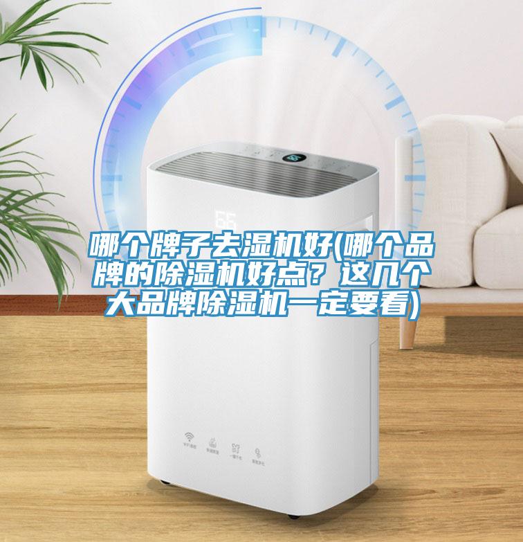 哪个牌子去湿机好(哪个品牌的抖音成人版下载好点？这几个大品牌抖音成人版下载一定要看)