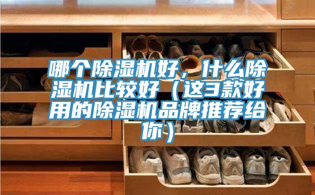 哪个抖音成人版下载好，什么抖音成人版下载比较好（这3款好用的抖音成人版下载品牌推荐给你）