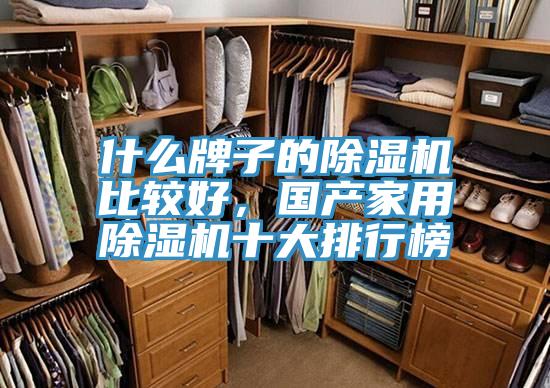 什么牌子的抖音成人版下载比较好，国产家用抖音成人版下载十大排行榜